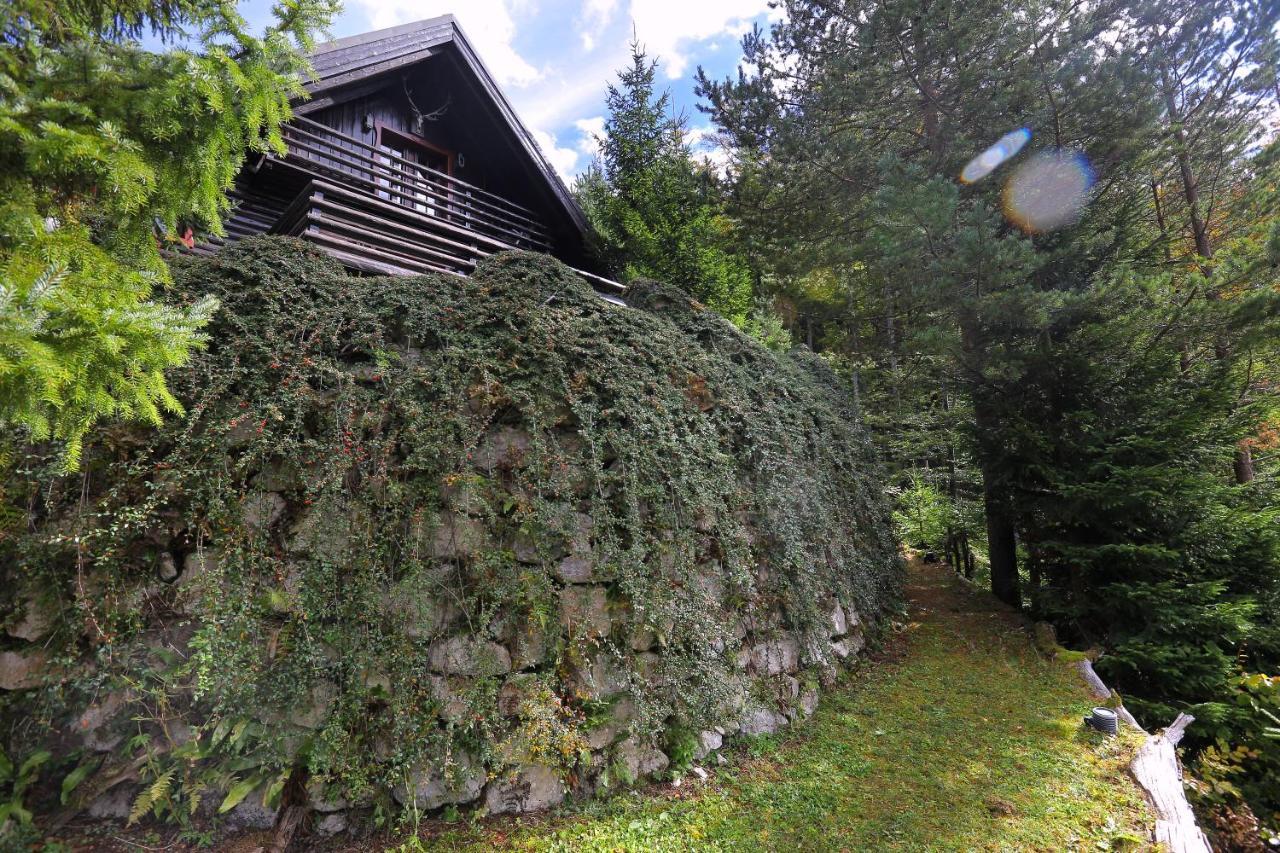 Mountain Dreams House - Stunning view over Lake Jasna! Villa Kranjska Gora Buitenkant foto